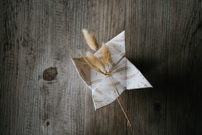 🧼 43 Grani – Shampoo + Balsamo Solido 2 in 1 per capelli secchi, ricci o tinti