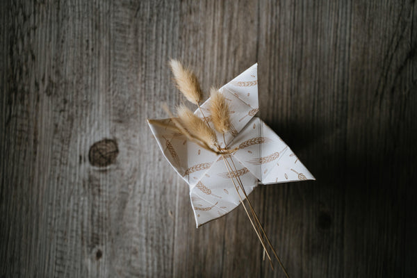 🧼 43 Grani – Shampoo + Balsamo Solido 2 in 1 per capelli secchi, ricci o tinti