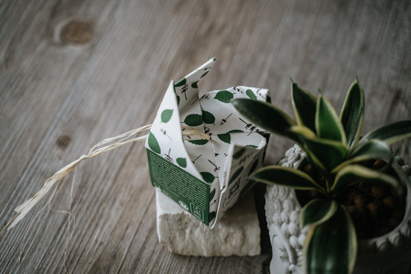 🌈  Incomparabile – Shampoo Solido Antiforfora e Antiprurito Naturale