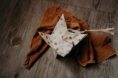 Maca delle Ande – Shampoo + Balsamo Solido 2 in 1 Rinforzante Anticaduta