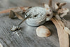 Scrub Corpo Esfoliante al Sale del Mar Morto & Maracuja