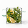 Cubo di vetro con limone, menta e ortica, fonti botaniche della formula di Scacciaguai.