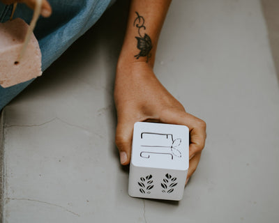 Nel bagaglio a mano – Kit da viaggio con shampoo solido e porta-shampoo