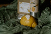 Sole d’Inverno Box 🌼 – Il regalo naturale che non appassisce