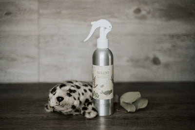 FOCAlizzati – Spray regolatore del microbioma cutaneo