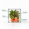 Basilico, neem, origano e pompelmo in un cubo di vetro, botaniche da cui derivano alcuni ingredienti di Incomparabile.